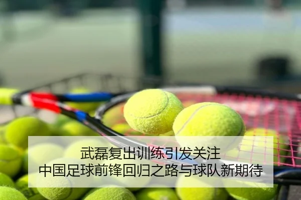 武磊复出训练引发关注 中国足球前锋回归之路与球队新期待
