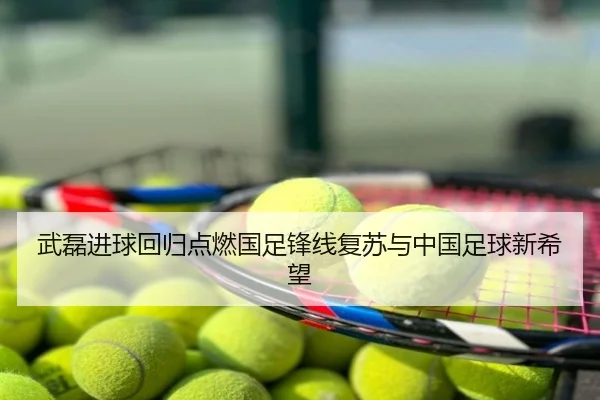 武磊进球回归点燃国足锋线复苏与中国足球新希望