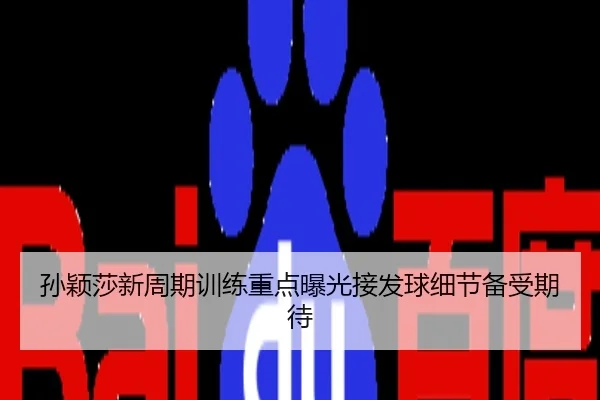 孙颖莎新周期训练重点曝光接发球细节备受期待