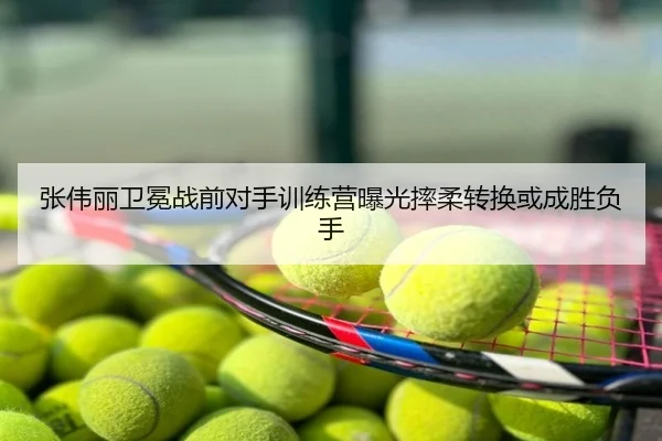 张伟丽卫冕战前对手训练营曝光摔柔转换或成胜负手