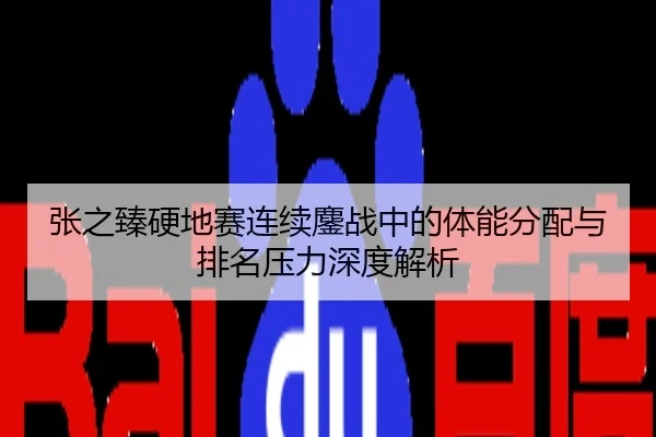 张之臻硬地赛连续鏖战中的体能分配与排名压力深度解析