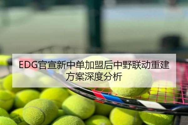 EDG官宣新中单加盟后中野联动重建方案深度分析